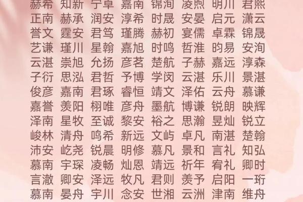 2019年5月23号子时出生的男孩起名时要注意什么姓名