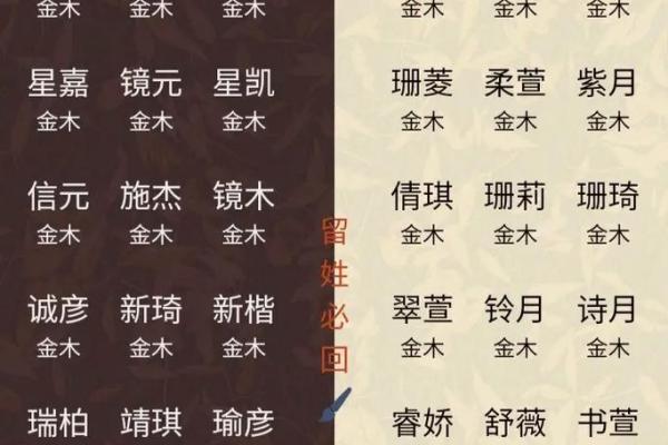 2019年5月8号卯时出生的男孩应该起什么样的名字姓名