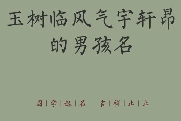 2019年3月30号午时出生的男孩应该起什么样的名字姓名