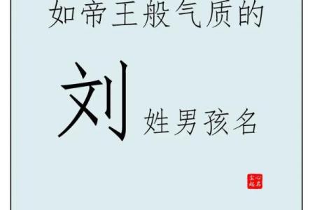 2019年3月30号午时出生的男孩应该起什么样的名字姓名