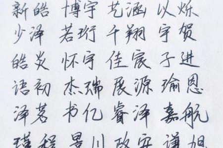 2019年3月25号酉时出生的男孩起名方法姓名