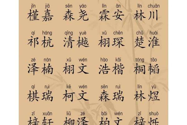 2021年夏至出生缺木男孩名字推荐,怎么取名好姓名