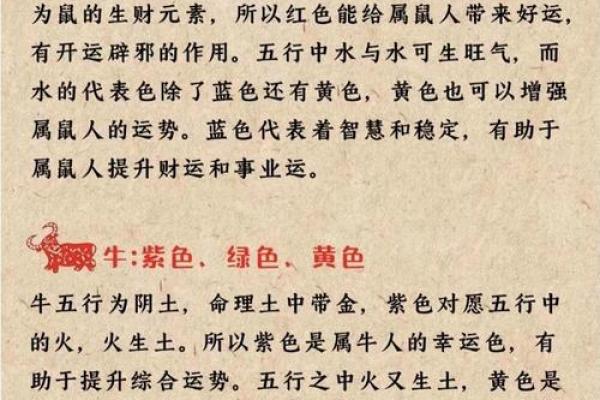 如何给下午3点出生的属鼠男孩起名字姓名