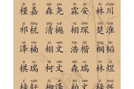 2021年夏至出生缺木男孩名字推荐,怎么取名好姓名
