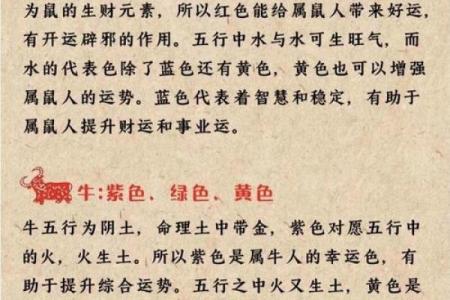 如何给下午3点出生的属鼠男孩起名字姓名