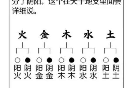汉字的五行属性如何确定-姓名学-华易算命网姓名