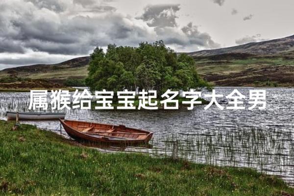 要怎么给晚上1点出生的属猴男孩起名字好姓名