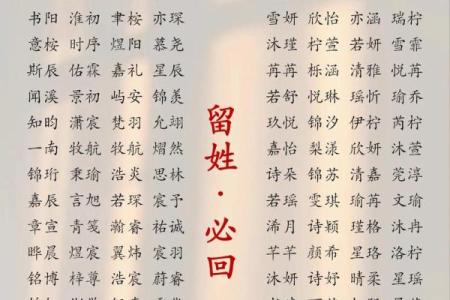 2019年3月17号子时出生的男孩要怎么起名字姓名
