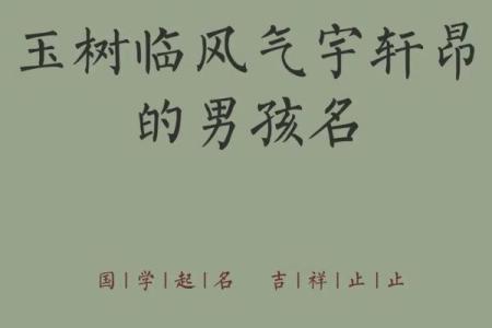 2019年4月9号子时出生的男孩要怎么起名字姓名