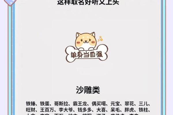 晚上7点出生的属狗男孩怎么取名，用什么字好姓名