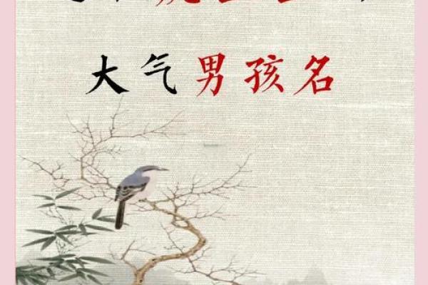 9月份出生的属虎男孩如何取名字姓名