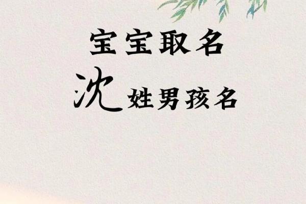 沈姓男孩名字大全-沈姓男孩起名字大全-沈姓名字大全姓名