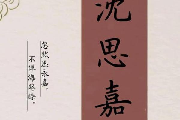 沈姓男孩名字大全-沈姓男孩起名字大全-沈姓名字大全姓名