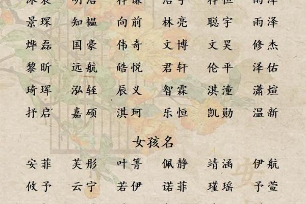 如何给亥时出生的属兔男孩起名最好姓名