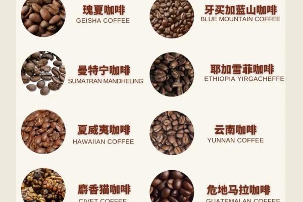全球最著名咖啡品牌起名-姓名学-华易网姓名