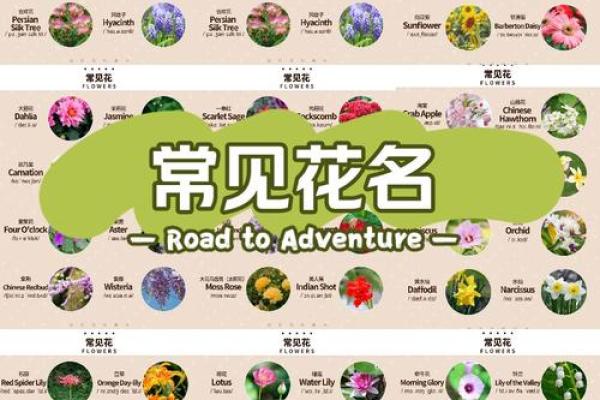 姓花的名人-名人大全-姓名学-华易算命网姓名