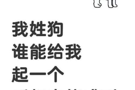 晚上7点出生的属狗男孩怎么取名，用什么字好姓名