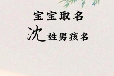 沈姓男孩名字大全-沈姓男孩起名字大全-沈姓名字大全姓名