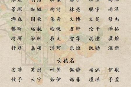 如何给亥时出生的属兔男孩起名最好姓名