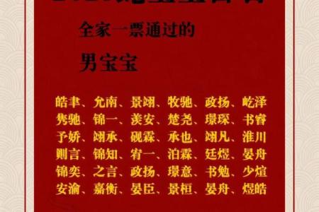 6月份出生的属蛇男孩该取什么名字姓名