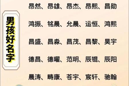 2019年5月14号寅时出生的男孩应该起什么样的名字姓名