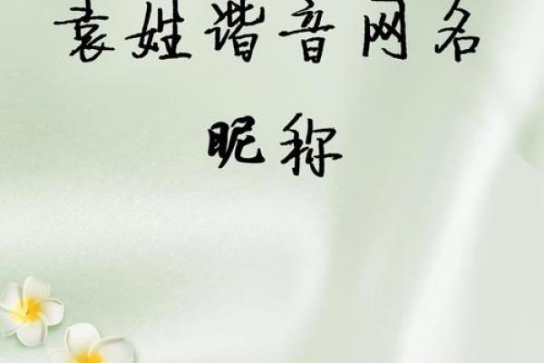 姓袁的名人-姓名学-华易算命网姓名