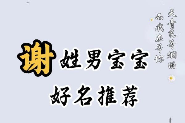 谢姓男孩名字大全-谢姓男孩起名字大全-谢姓名字大全姓名