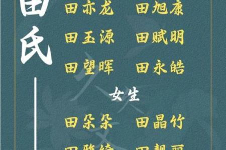 下午4点出生的属虎男孩起什么名，适合什么字姓名