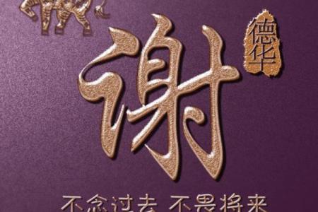 谢姓男孩名字大全-谢姓男孩起名字大全-谢姓名字大全姓名