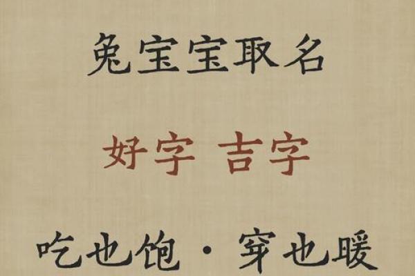 1月份出生的属兔男孩该怎样取名字姓名