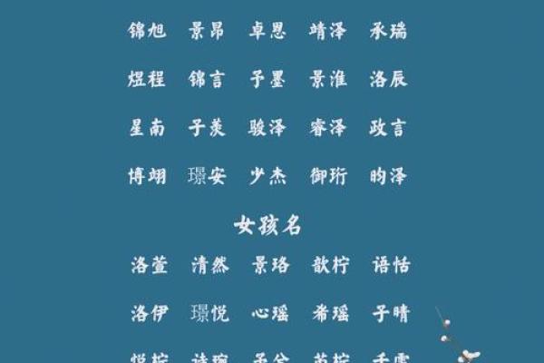 1月份出生的属兔男孩该怎样取名字姓名