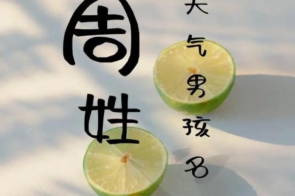 2019年出生的姓周女孩如何起名，宜用什么字姓名