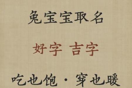 1月份出生的属兔男孩该怎样取名字姓名