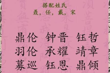 2019年6月11号丑时出生的男孩如何起名姓名