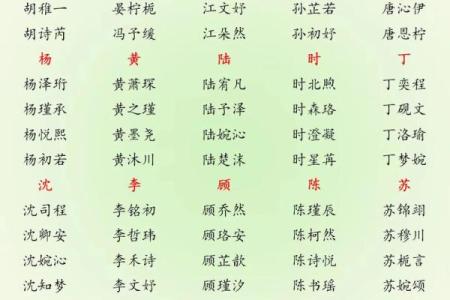 2019年3月26号巳时出生的男孩要怎么起名字姓名
