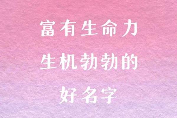 顾姓女孩名字大全-顾姓女孩起名字大全-顾姓名字大全姓名
