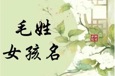 茅姓女孩名字大全-茅姓女孩起名字大全-茅姓名字大全姓名