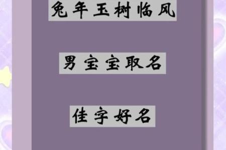 属兔辰时出生的男孩最好用什么字取名姓名