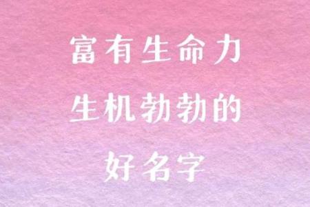 顾姓女孩名字大全-顾姓女孩起名字大全-顾姓名字大全姓名