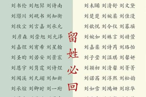 取好名字的标准是什么呢-起名学姓名