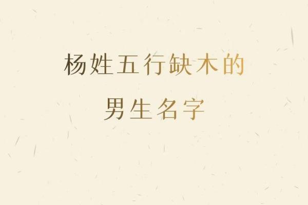 五行属木的字-五行属木的字大全-五行属木的字有哪些姓名