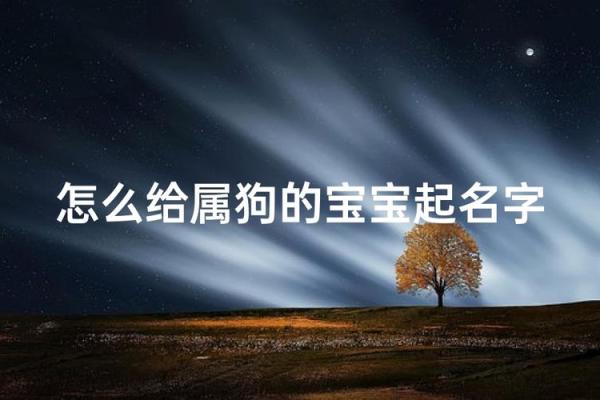 晚上八点出生的属狗男孩如何取名，宜用什么字姓名