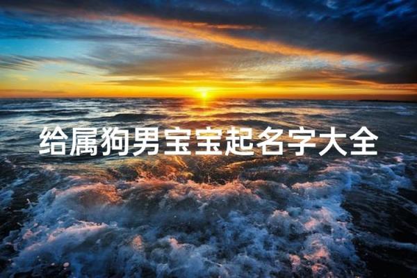 晚上八点出生的属狗男孩如何取名，宜用什么字姓名