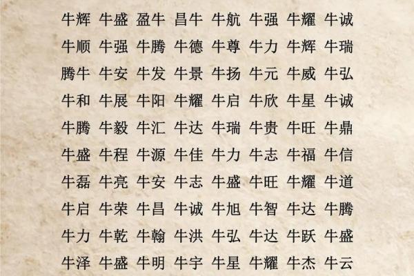 什么字适合给中午12点出生的属牛男孩起名姓名