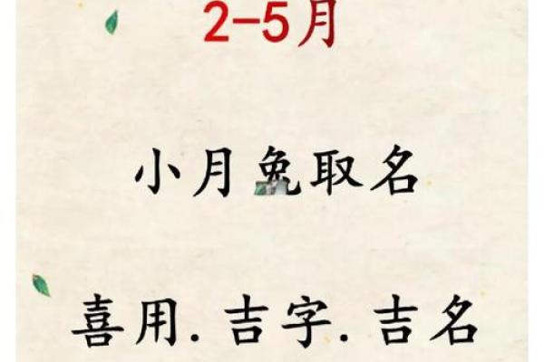 如何给9月份出生的属兔男孩取名字姓名