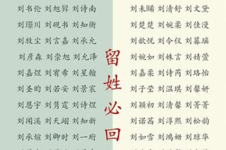 取好名字的标准是什么呢-起名学姓名