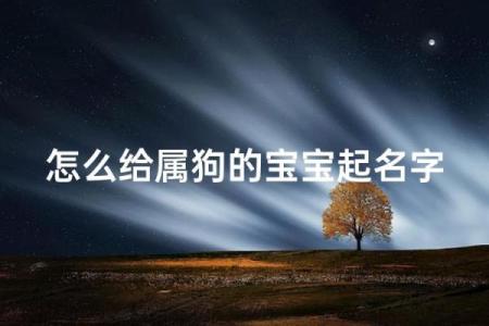 晚上八点出生的属狗男孩如何取名，宜用什么字姓名