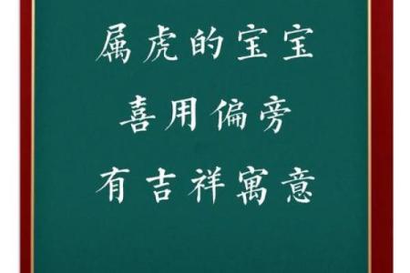 中午出生的属虎男孩如何起名，适合什么字姓名