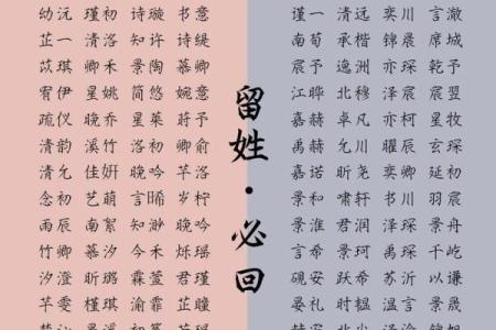 2019年3月26号未时出生的男孩要怎么起名字姓名