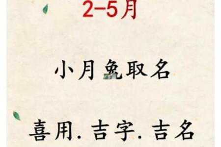 如何给9月份出生的属兔男孩取名字姓名